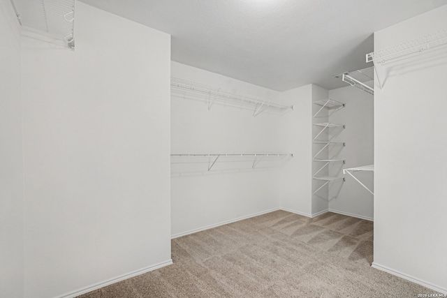 1730 Lilac Mist, San Antonio, TX 78260
