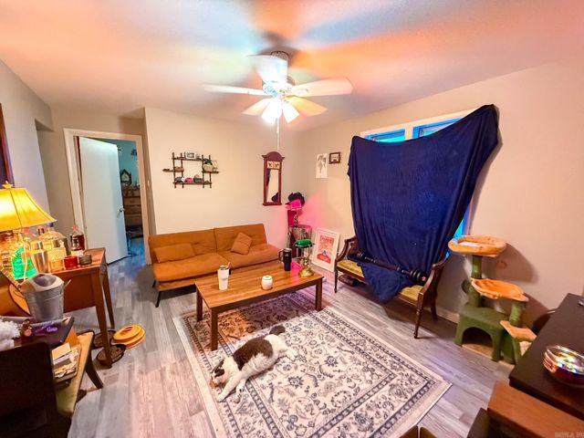 287 Patton Street, Clinton, AR 72031