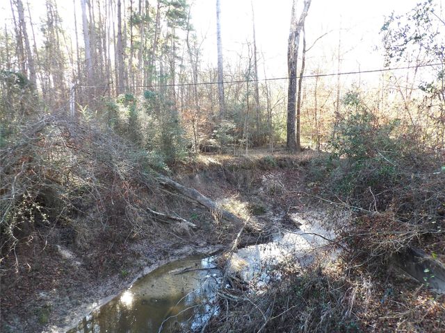 16590 E State Highway 21, Grapeland, TX 75844