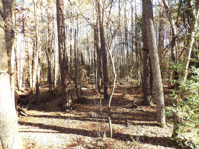 16590 E State Highway 21, Grapeland, TX 75844