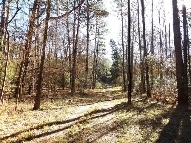 16590 E State Highway 21, Grapeland, TX 75844