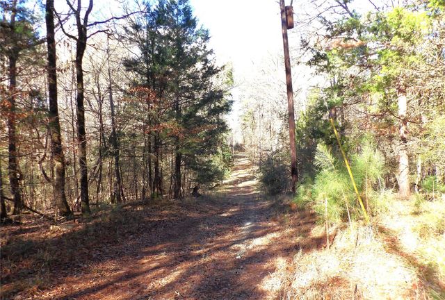 16590 E State Highway 21, Grapeland, TX 75844