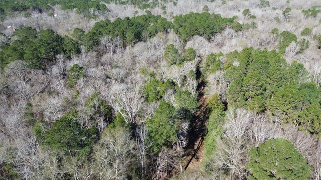 16590 E State Highway 21, Grapeland, TX 75844