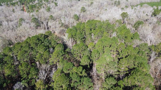 16590 E State Highway 21, Grapeland, TX 75844