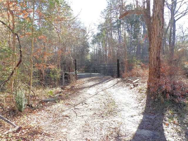 16590 E State Highway 21, Grapeland, TX 75844