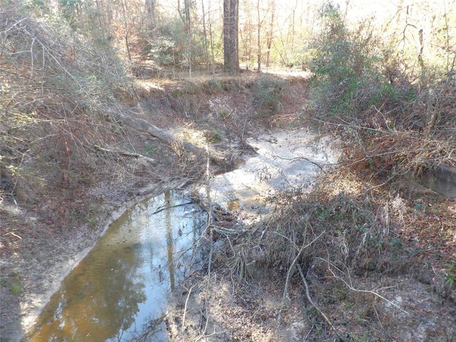 16590 E State Highway 21, Grapeland, TX 75844