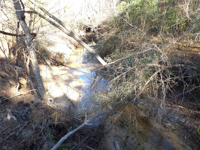 16590 E State Highway 21, Grapeland, TX 75844