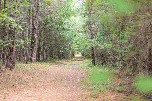 2050 Bible Camp Road, Byron, GA 31008