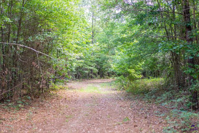 2050 Bible Camp Road, Byron, GA 31008