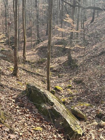 758 Montgomery Road, Dayton, TN 37321
