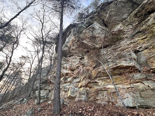 758 Montgomery Road, Dayton, TN 37321