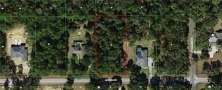 1565 W Pearson Street, Hernando, FL 34442