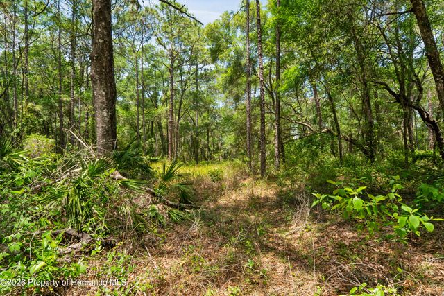 16225 Bonzai Trail, Spring Hill, FL 34613