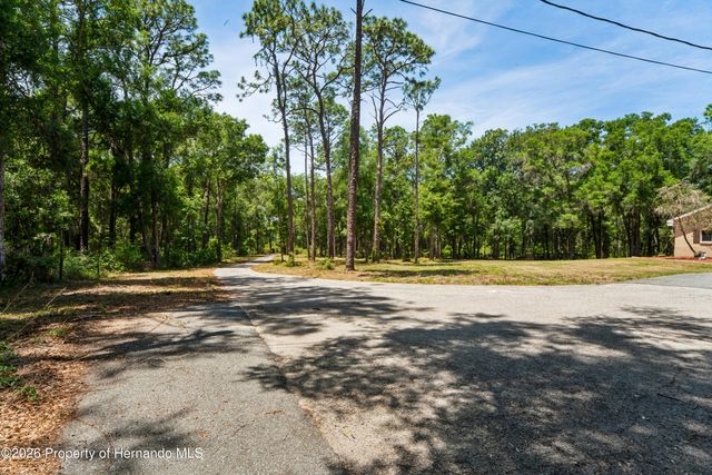 16225 Bonzai Trail, Spring Hill, FL 34613