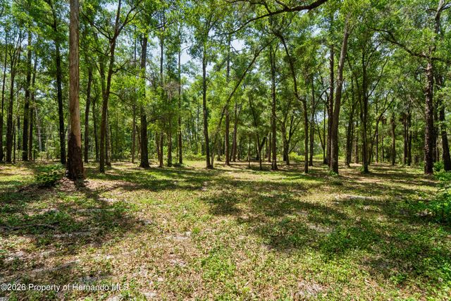 16225 Bonzai Trail, Spring Hill, FL 34613