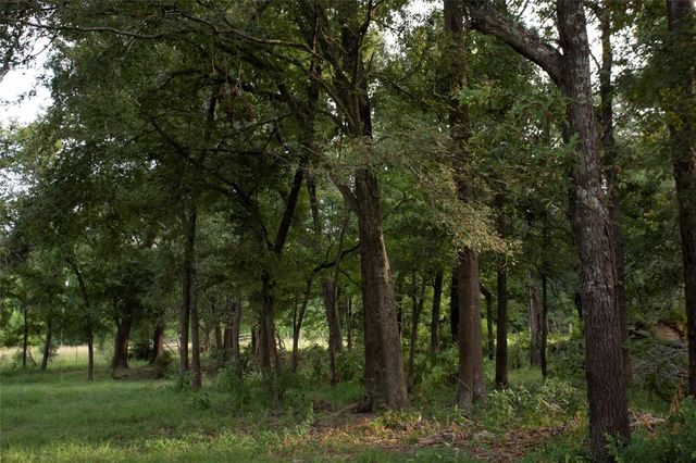 1202 County Road 2255, Grapeland, TX 75844