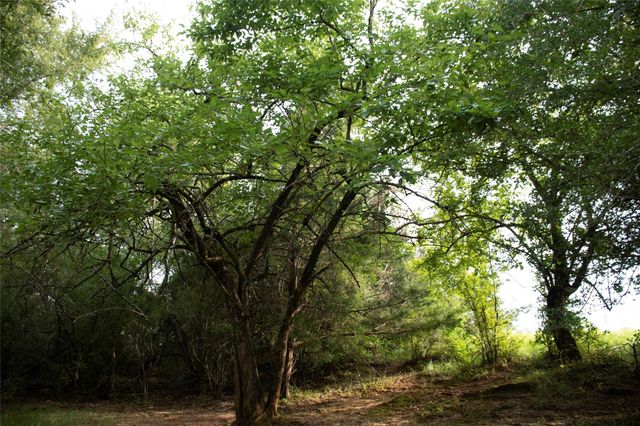 1202 County Road 2255, Grapeland, TX 75844