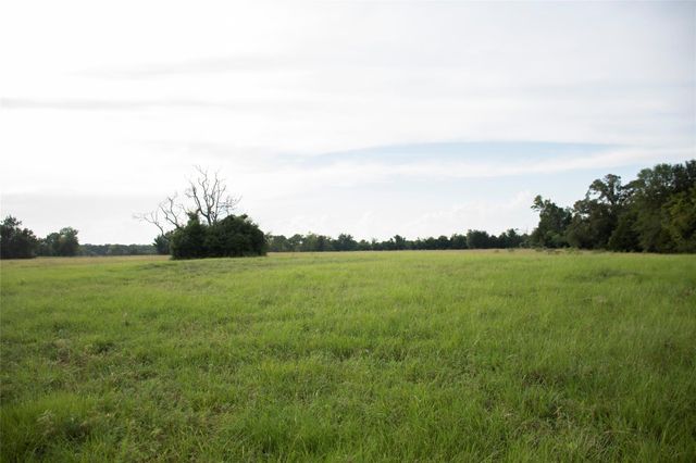 1202 County Road 2255, Grapeland, TX 75844
