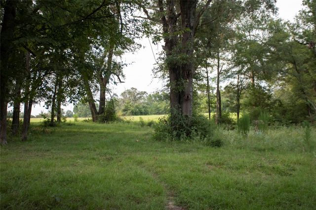 1202 County Road 2255, Grapeland, TX 75844