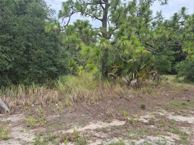 1626 S US 301, Sumterville, FL 33585