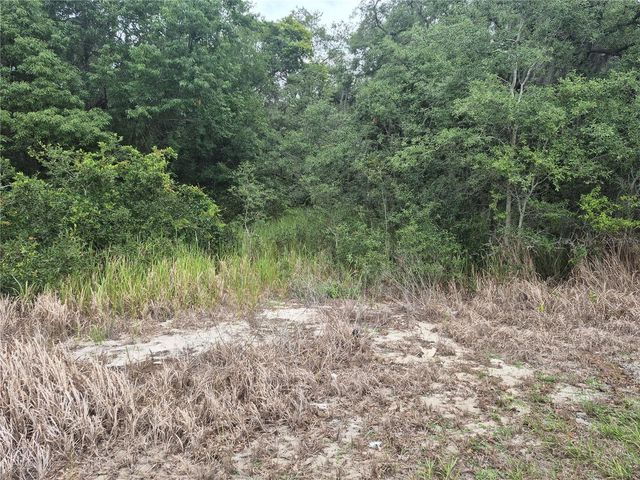 1626 S US 301, Sumterville, FL 33585