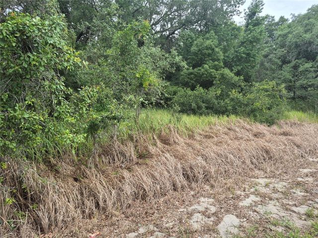 1626 S US 301, Sumterville, FL 33585