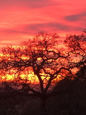 421 Fuente Pl, Lincoln, CA 95648