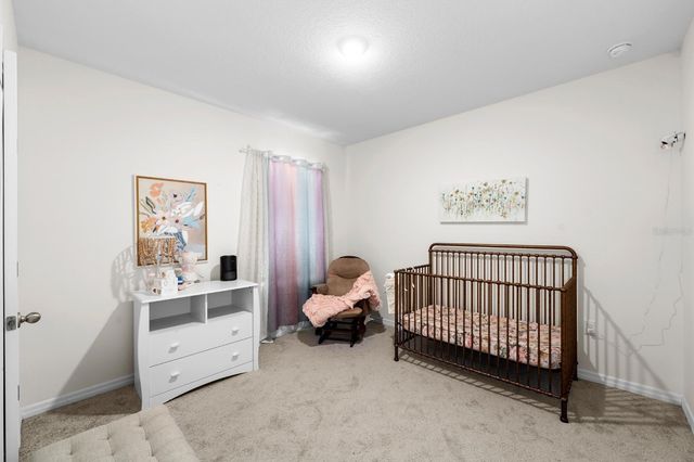 10532 PENNY GALE LOOP, San Antonio, FL 33576