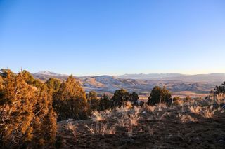 TBD Tract 7 Bostwick Park Road, Montrose, CO 81403