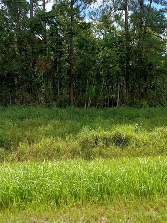 0 Highway 43, Saraland, AL 36571 — photo 3