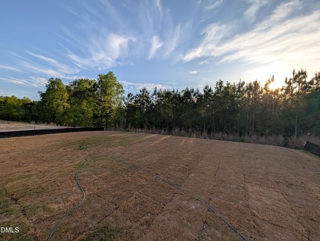 817 Diana Victoria Court, Wendell, NC 27591