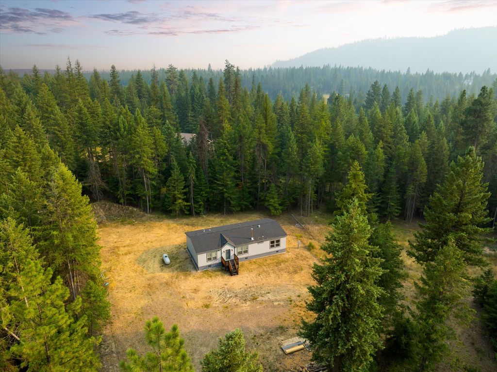 158 Mud Lake Road, Troy, MT 59935 photo 4