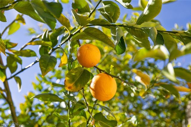 3020 Bel Air Drive, Las Vegas, NV 89109