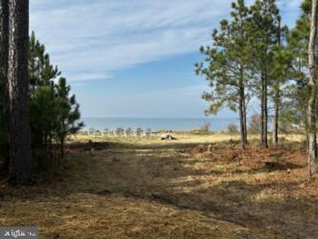 5332 RAGGED POINT RD, Cambridge, MD 21613