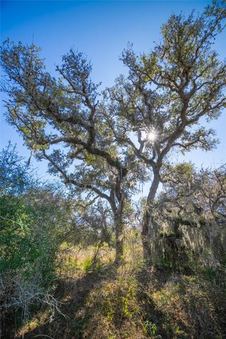 1293 Pintail, Rock Island, TX 78934