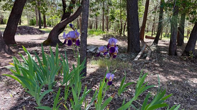 13007 Perry Road, Central Point, OR 97502