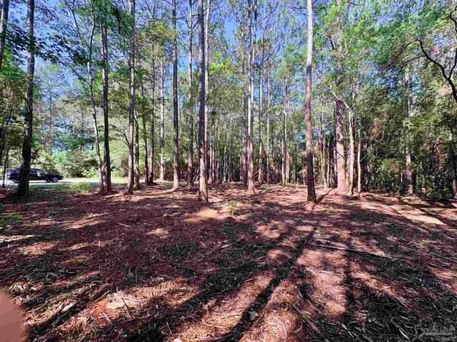 4753 Henry Wilson Creek Dri, Milton, FL 32583