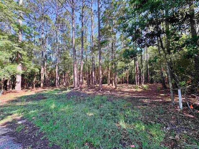 4753 Henry Wilson Creek Dri, Milton, FL 32583