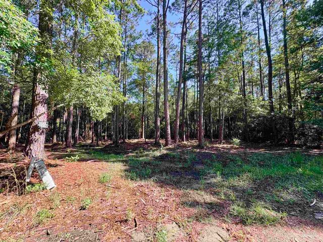 4753 Henry Wilson Creek Dri, Milton, FL 32583