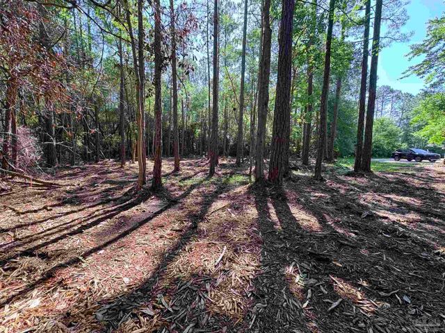 4753 Henry Wilson Creek Dri, Milton, FL 32583