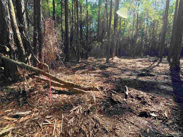 4753 Henry Wilson Creek Dri, Milton, FL 32583