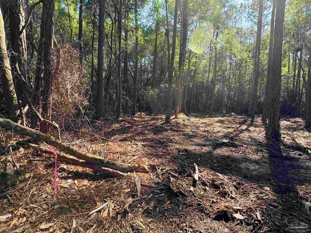 4753 Henry Wilson Creek Dri, Milton, FL 32583
