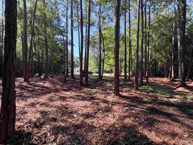 4753 Henry Wilson Creek Dri, Milton, FL 32583