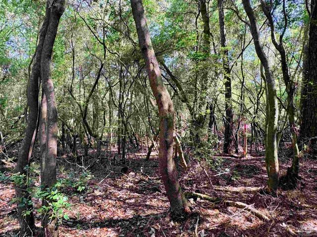 4753 Henry Wilson Creek Dri, Milton, FL 32583