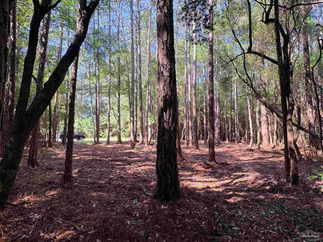 4753 Henry Wilson Creek Dri, Milton, FL 32583