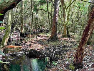 4753 Henry Wilson Creek Dri, Milton, FL 32583