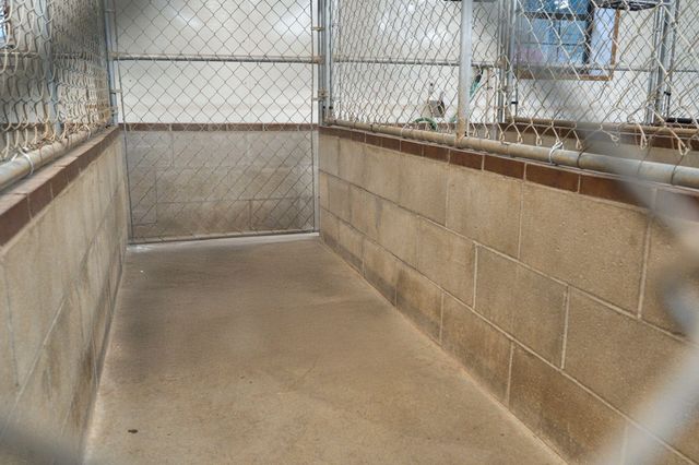 1642 W Inman Road, Nixa, MO 65714