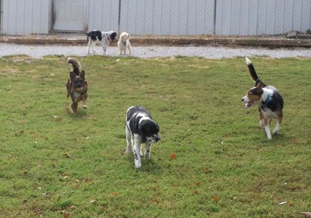 1642 W Inman Road, Nixa, MO 65714