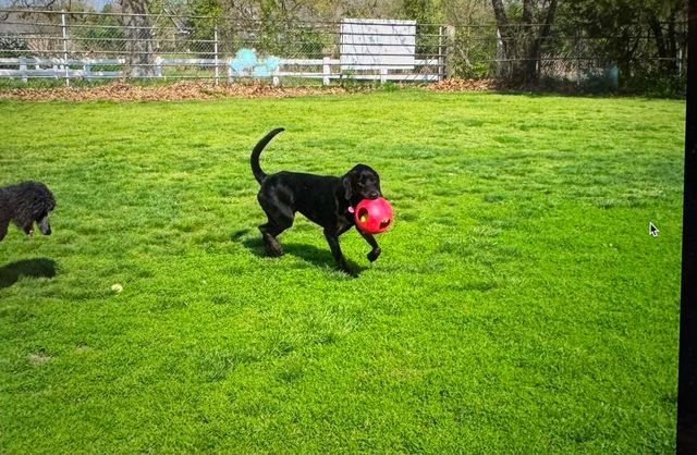 1642 W Inman Road, Nixa, MO 65714