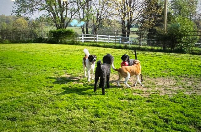 1642 W Inman Road, Nixa, MO 65714